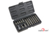 Вставки набор Torx 1/2" 15пр (Т20-Т55) (Сервис Ключ)