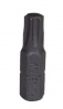 Вставка 1/4" Torx T30 25мм (Force) 1262530